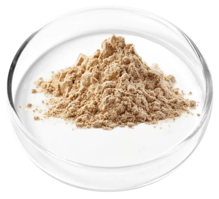Berberine